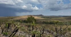 Chácara 5 Alqueires – Km 12 – Lindo Visual – Entre Alto Paraíso e São Jorge