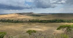 Chácara 5 Alqueires – Km 12 – Lindo Visual – Entre Alto Paraíso e São Jorge