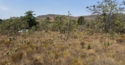 Cháraca 6ha – Córrego – Vista Morro da Baleia – Chapada dos Veadeiros