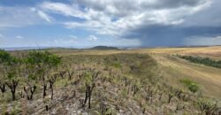 Chácara 5 Alqueires – Km 12 – Lindo Visual – Entre Alto Paraíso e São Jorge