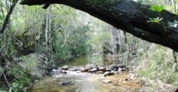 Propriedade com Casa – 4ha exclusiva na Região do Morrão / Sertão Zen – Alto Paraíso de Goiás
