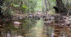 Propriedade com Casa – 4ha exclusiva na Região do Morrão / Sertão Zen – Alto Paraíso de Goiás
