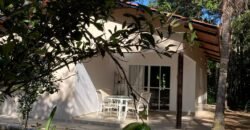 Propriedade com Casa – 4ha exclusiva na Região do Morrão / Sertão Zen – Alto Paraíso de Goiás
