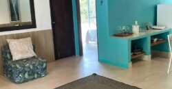Propriedade com Casa – 4ha exclusiva na Região do Morrão / Sertão Zen – Alto Paraíso de Goiás