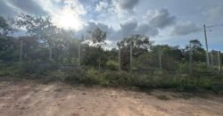 Vende -se Lote