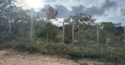 Vende -se Lote