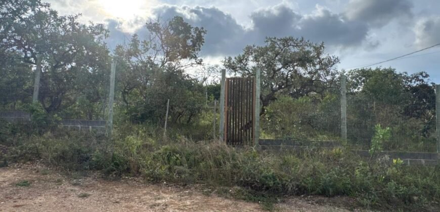 Vende -se Lote