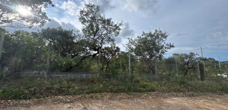 Vende -se Lote