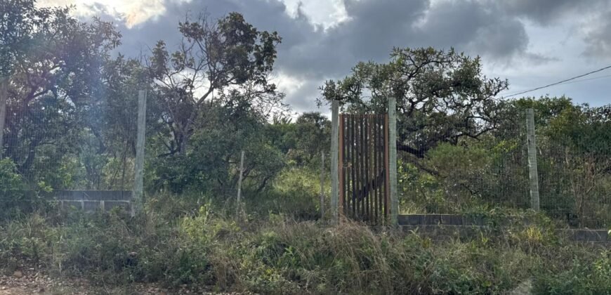 Vende -se Lote