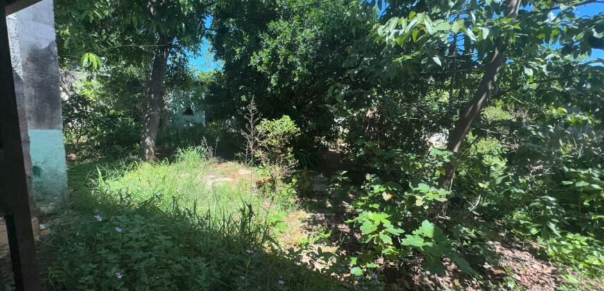 Casa 3 Quartos – Paraisinho – Alto Paraíso de Goiás