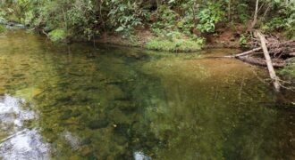 Chácara 8ha – Rio do Segredo – 12 km de São Jorge – Chapada dos Veadeiros
