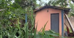 Vende Casa – Bem Localizada – Monte Sinai – Alto Paraíso de Goiás