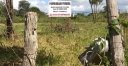 Lote 3.000m2 Cavalcante –  Regularidado – Chapada dos Veadeiros
