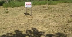 Lote 3.000m2 Cavalcante –  Regularidado – Chapada dos Veadeiros