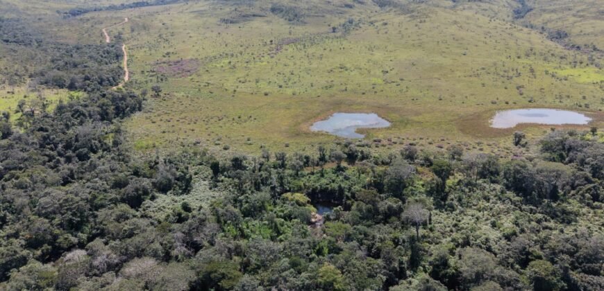 Fazenda 695ha – Nascente – Cachoeira – aprox. 23 km de Alto Paraíso de Goiás, 100% Documentada