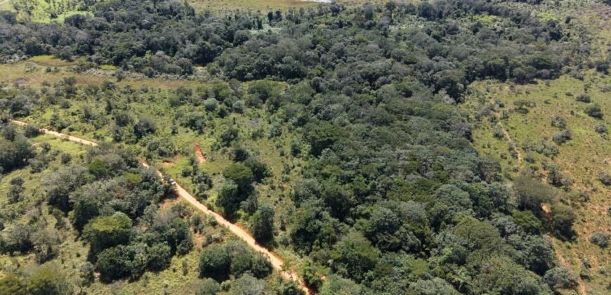 Fazenda 695ha – Nascente – Cachoeira – aprox. 23 km de Alto Paraíso de Goiás, 100% Documentada