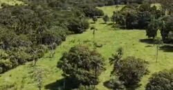 Fazenda 695ha – Nascente – Cachoeira – aprox. 23 km de Alto Paraíso de Goiás, 100% Documentada
