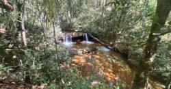 Fazenda 695ha – Nascente – Cachoeira – aprox. 23 km de Alto Paraíso de Goiás, 100% Documentada