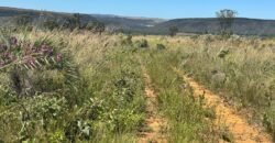 Fazenda 695ha – Nascente – Cachoeira – aprox. 23 km de Alto Paraíso de Goiás, 100% Documentada