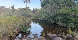 Vende-se Excelente Chácara – Casa – Rio – Aconchegante – Vale Verde – Alto Paraíso de Goiás