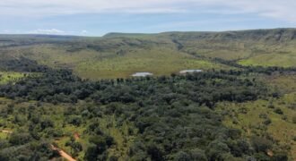 Fazenda 695ha – Nascente – Cachoeira – aprox. 23 km de Alto Paraíso de Goiás, 100% Documentada