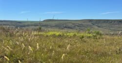 Fazenda 695ha – Nascente – Cachoeira – aprox. 23 km de Alto Paraíso de Goiás, 100% Documentada