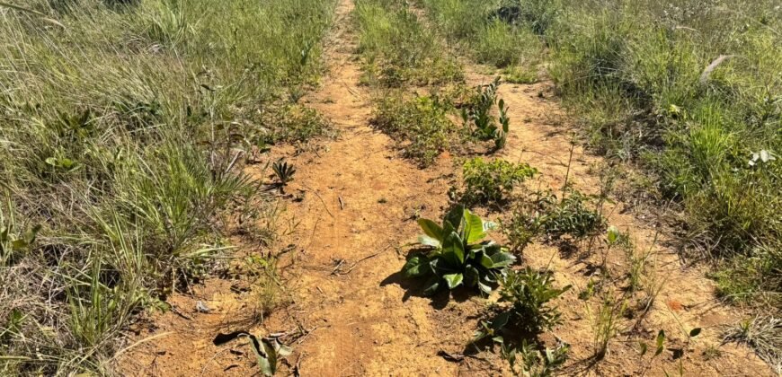Fazenda 695ha – Nascente – Cachoeira – aprox. 23 km de Alto Paraíso de Goiás, 100% Documentada