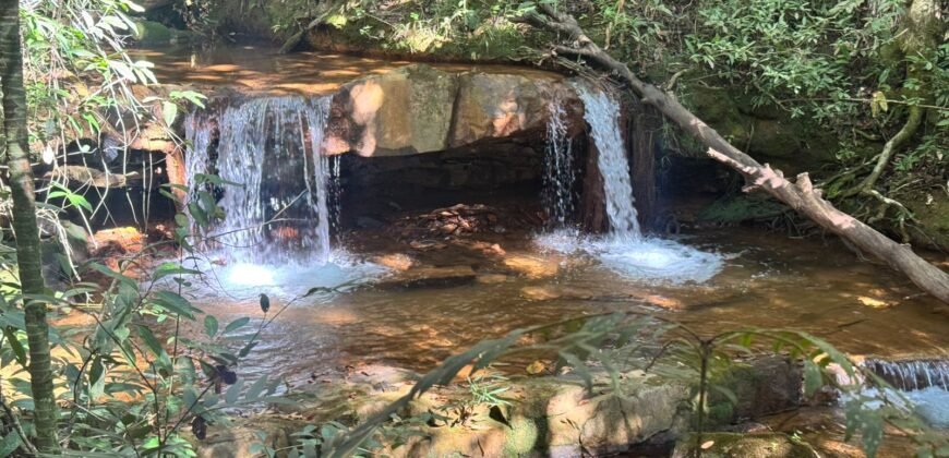 Fazenda 695ha – Nascente – Cachoeira – aprox. 23 km de Alto Paraíso de Goiás, 100% Documentada