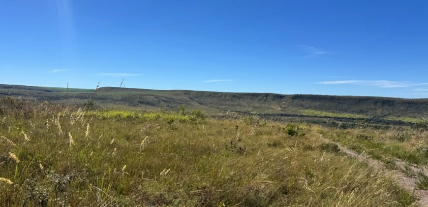 Fazenda 695ha – Nascente – Cachoeira – aprox. 23 km de Alto Paraíso de Goiás, 100% Documentada