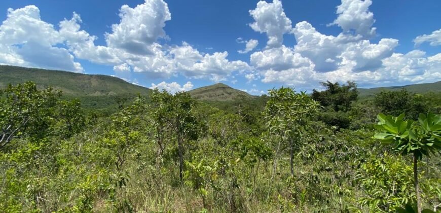 Oportunidade Única – 1.510 hectares (RPPN III com 1.425 ha + RPPN II com 85 ha). Chapada dos veadeiros