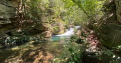 Oportunidade Única – 1.510 hectares (RPPN III com 1.425 ha + RPPN II com 85 ha). Chapada dos veadeiros