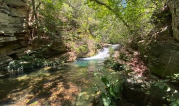 Oportunidade Única – 1.510 hectares (RPPN III com 1.425 ha + RPPN II com 85 ha). Chapada dos veadeiros