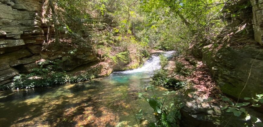 Oportunidade Única – 1.510 hectares (RPPN III com 1.425 ha + RPPN II com 85 ha). Chapada dos veadeiros
