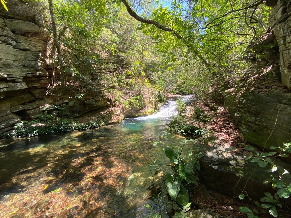 Oportunidade Única – 1.510 hectares (RPPN III com 1.425 ha + RPPN II com 85 ha). Chapada dos veadeiros
