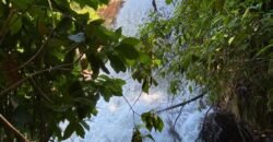 Oportunidade Única – 1.510 hectares (RPPN III com 1.425 ha + RPPN II com 85 ha). Chapada dos veadeiros